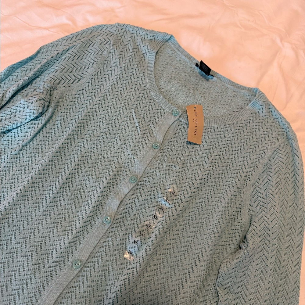 Ann Taylor Blue Top